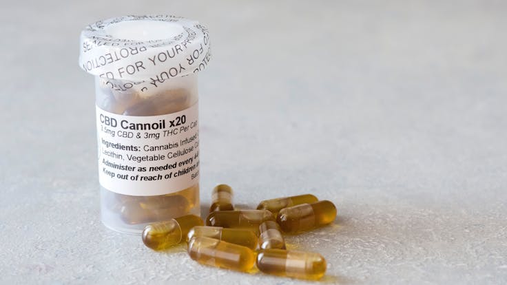 Our CBD Cannoil Capsules. With 3.5mg CBD and 3mg THC per cap, these capsules are powerful medicine.
