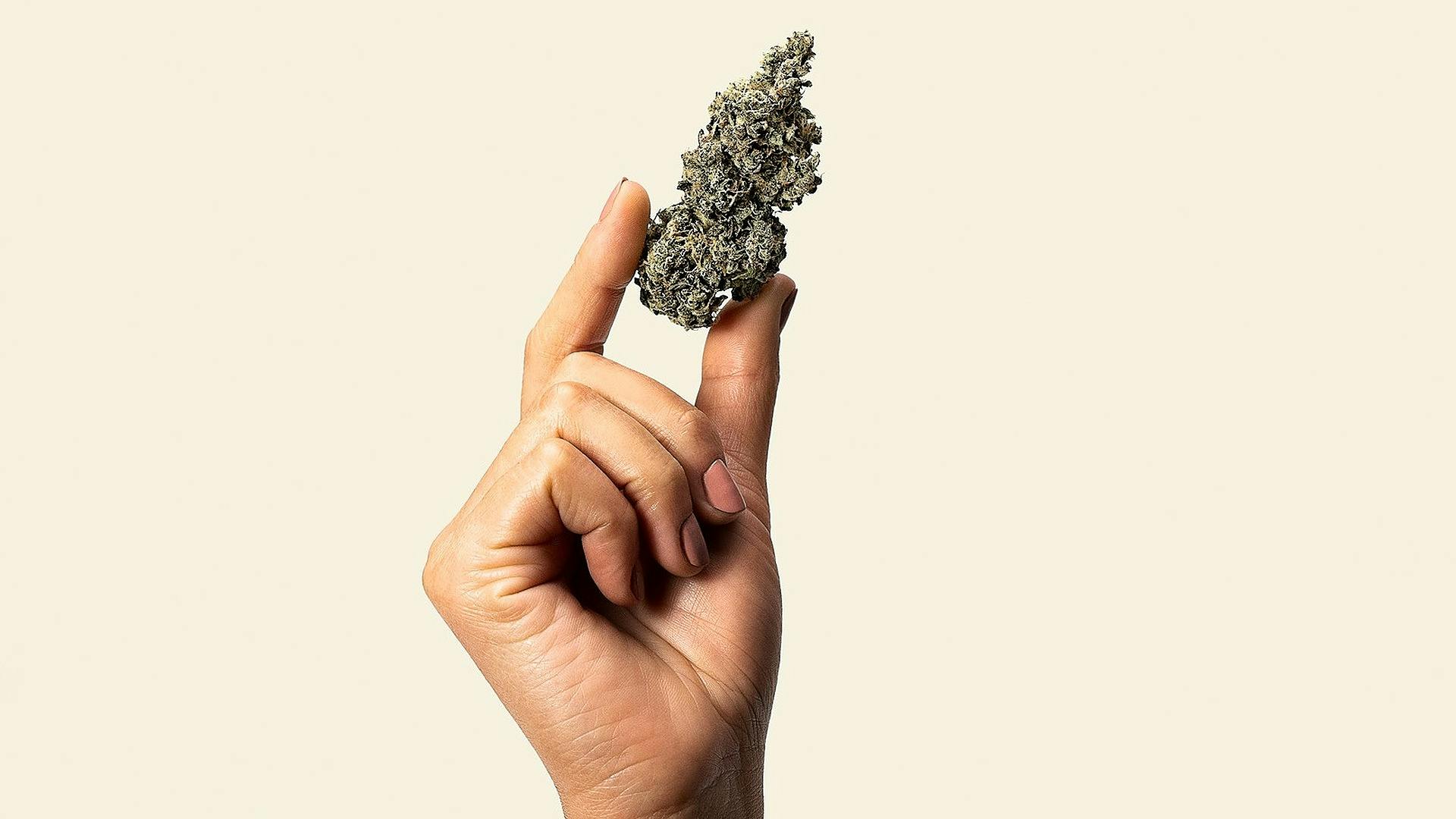 Houseplant For people who love weed, by people who love weed. Leafly