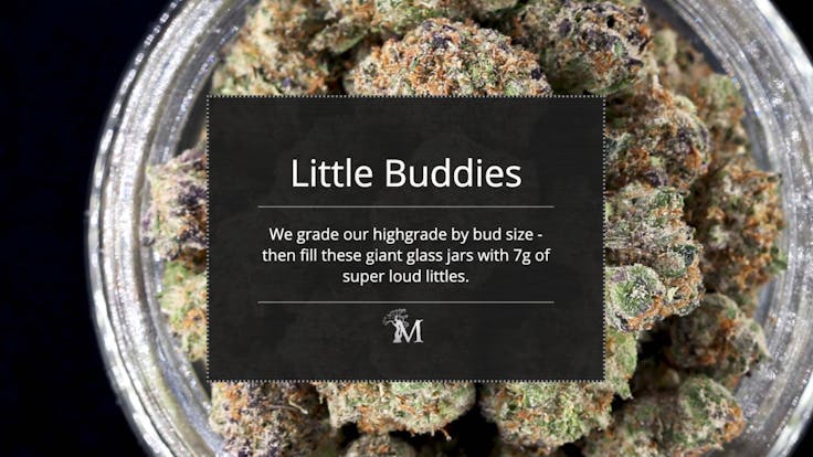 Big jars of flavor, compact bud sizes. 7g of super loud littles.