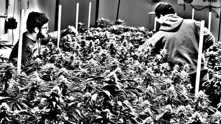 A brand that celebrates decades of experience and dedication to our craft.