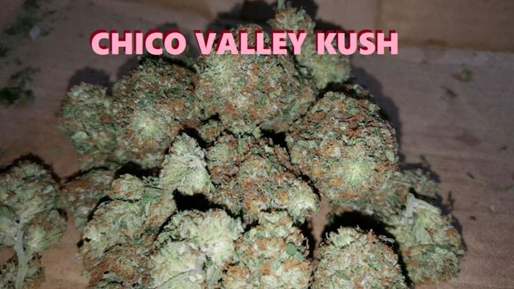 Chico Valley Kush