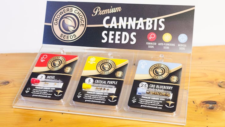 We welcome all cannabis seed buyers - retailers receive displays and other benefits