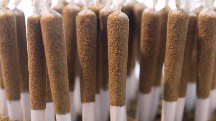 Over 100 different pre-rolled products to match any budget and exceed consumer expectations.