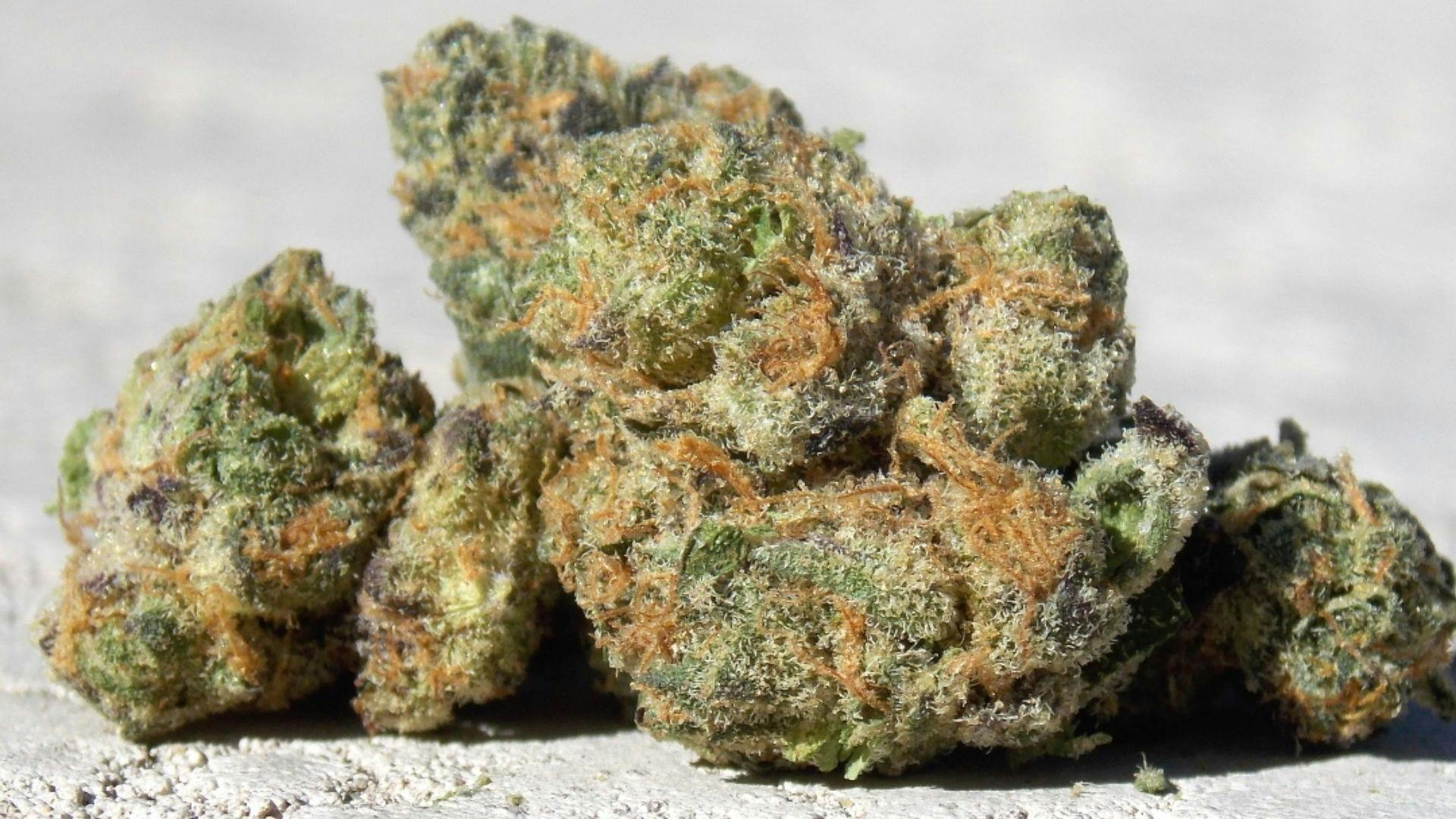 BaM Body and Mind The Perfect Balance Leafly