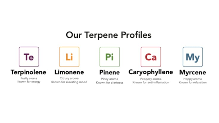 Try all five of our terpene-based aroma profiles