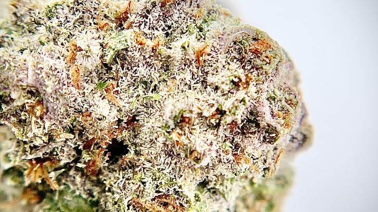 Perfume Diesel #6
Lemon Pound Cake 🍋 🎂 Pheno