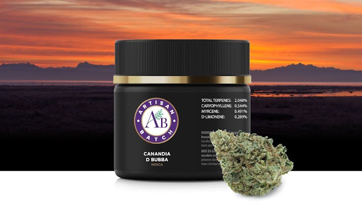 The experts at Canandia have more than 26 years experience in the art of cannabis cultivation