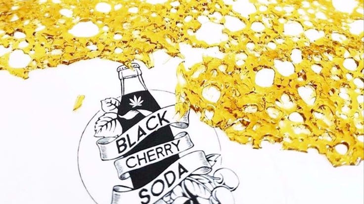 Black Cherry Soda BHO