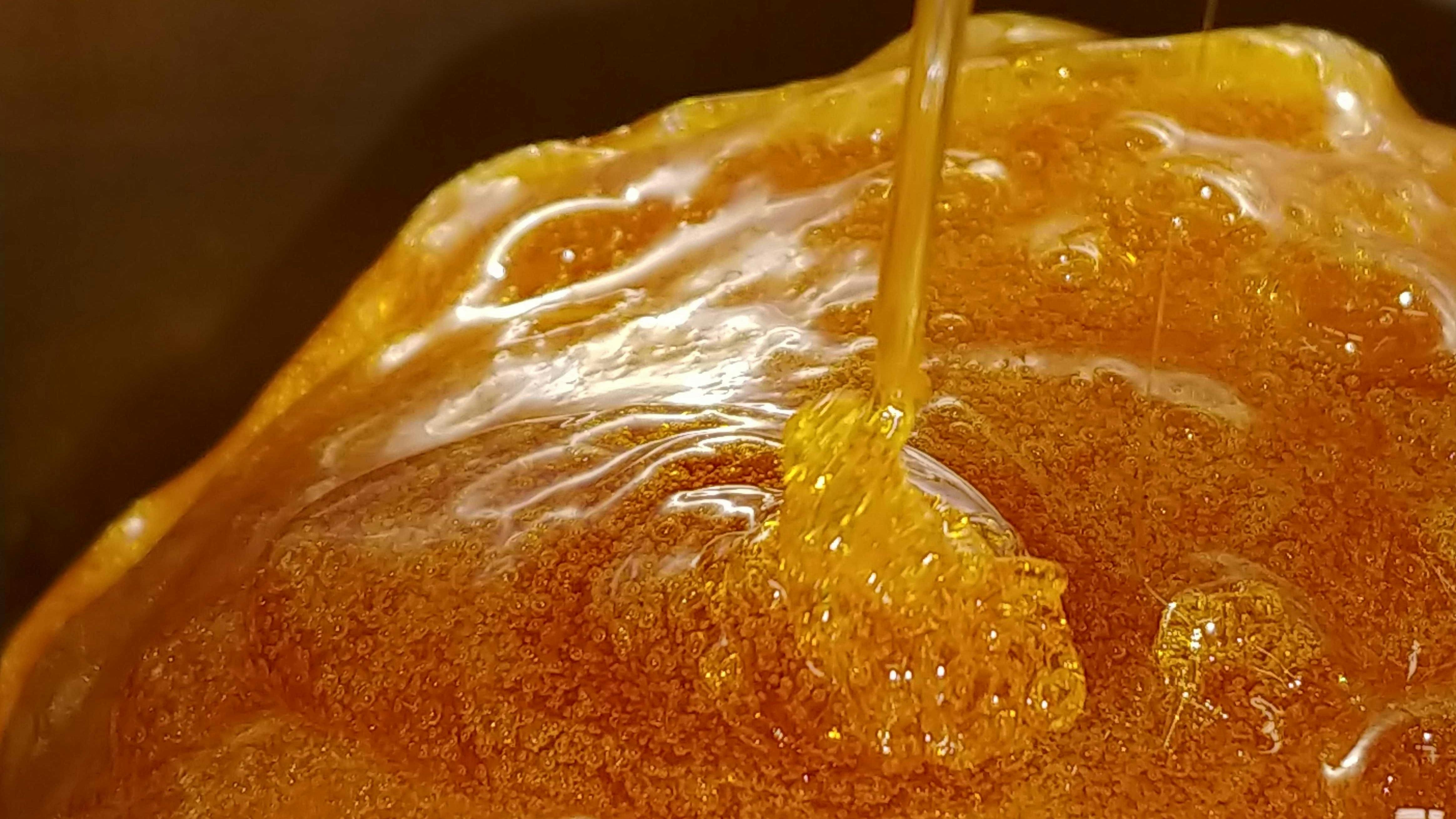 Extract Labs Your 1 CBD Destination. Veteran Owned & Made in Boulder