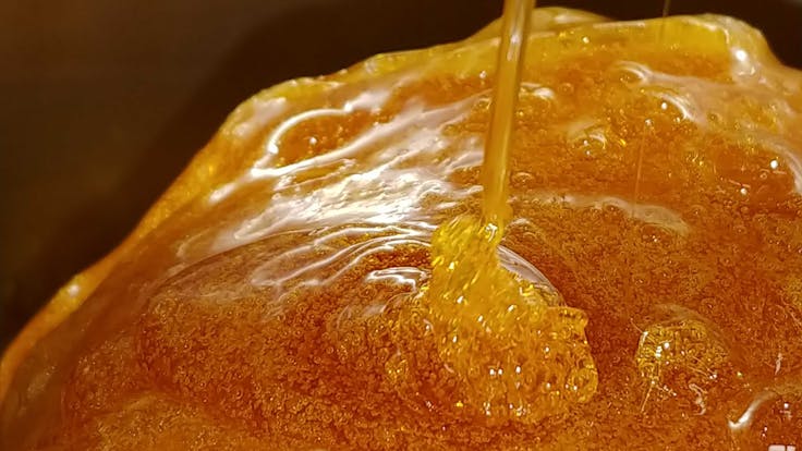 All of our products are made with CO2-extracted hemp oil, derived from only the finest American Hemp