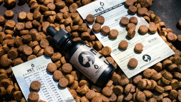 Illuminent Pet Tincture contains a powerful combination of CBD and Glucosamine.