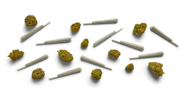 Explore the Artistry of Low-THC Cannabis