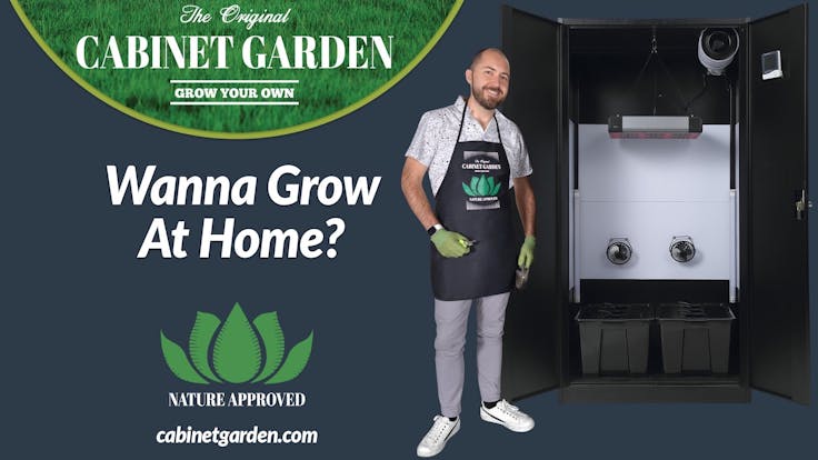Grow up to 6 amazing pesticide free cannabis plants at home has never been easier w/ Cabinet Garden™