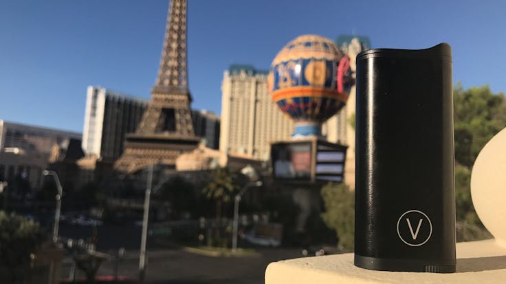 What happens in VIEgas stays in VIEgas!