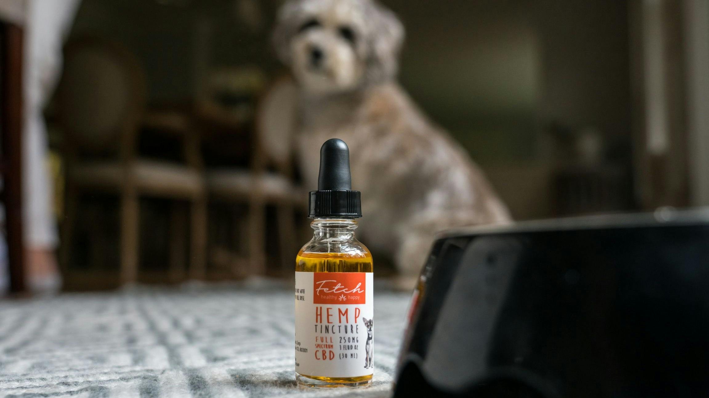 Extract Labs Your 1 CBD Destination. Veteran Owned & Made in Boulder