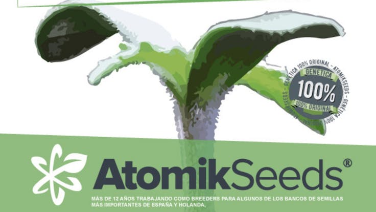 Atomik Seed cannabis seeds: Atomika, Atomik Haze, Auto Haze, Auto Bud, Blueberry Ak