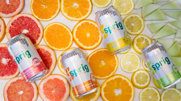 The Sprig CBD Family