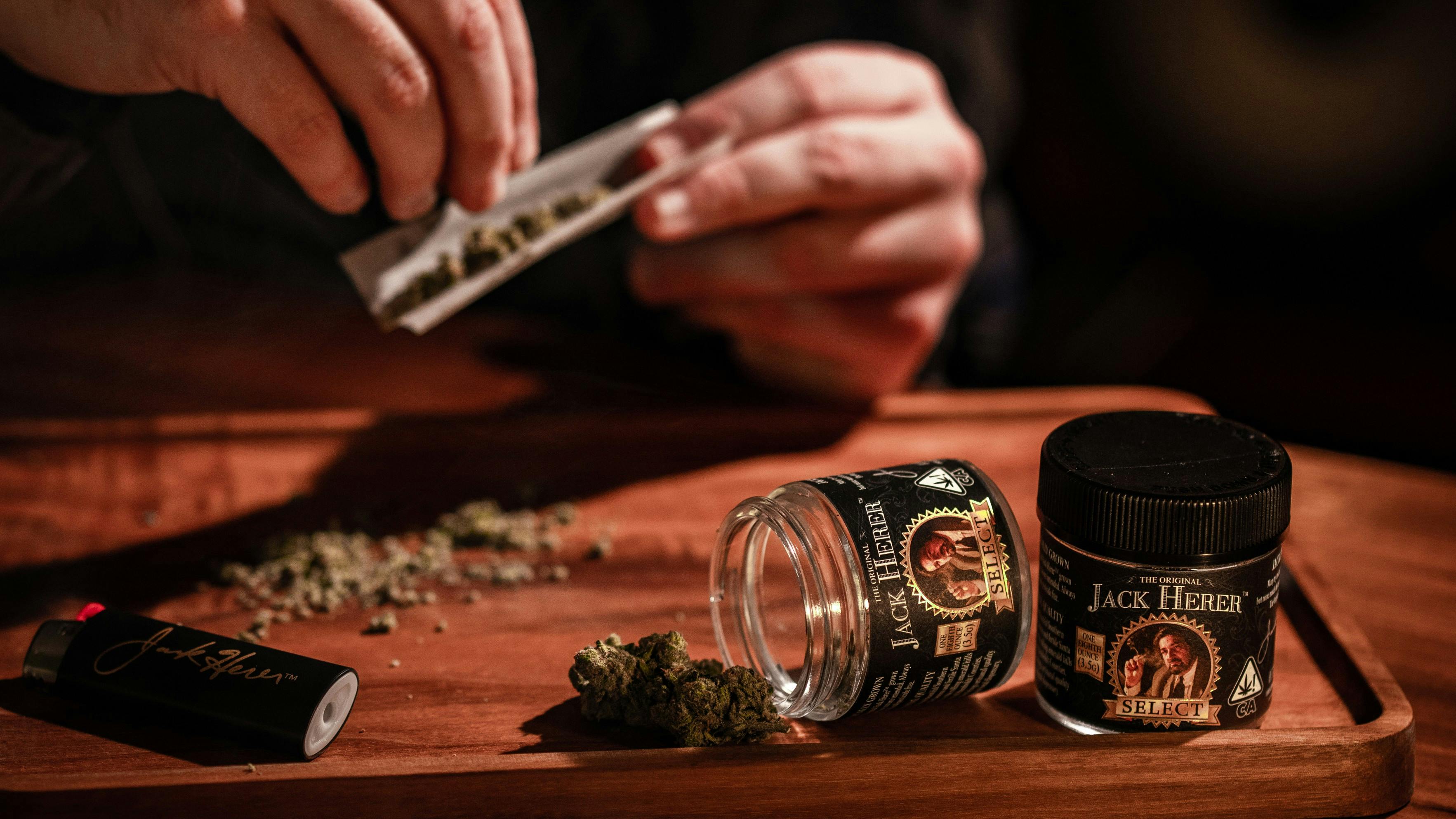 The Original Jack Herer There is only one, The Original Jack Herer