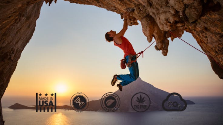 Save 20% @ Checkout Using Code LEAFLY