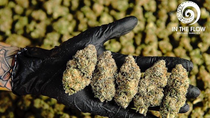 Find Your Flow with Handcrafted Flower