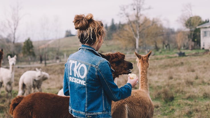 Our 60-acre farm is home to a Farm Animal Rescue Sanctuary
