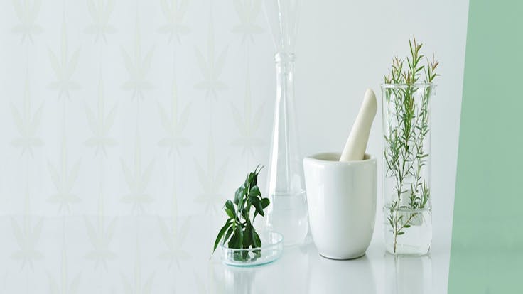 CBD HEMP THE NATURAL POWER OF WELL BEING