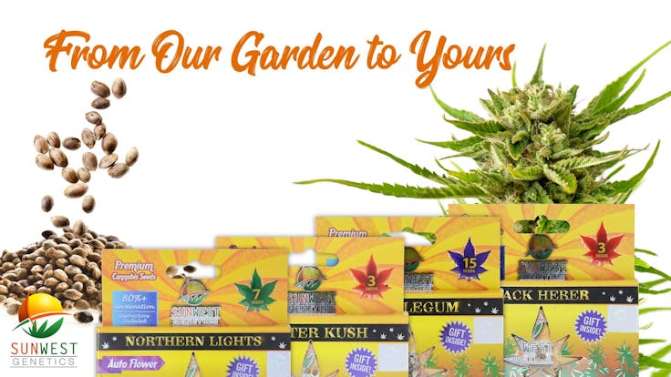 Master Kush, Northern Lights, Bubblegum and the legendary Jack Herer are just a few of our seeds