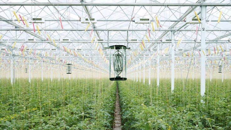 Works great in all greenhouse settings