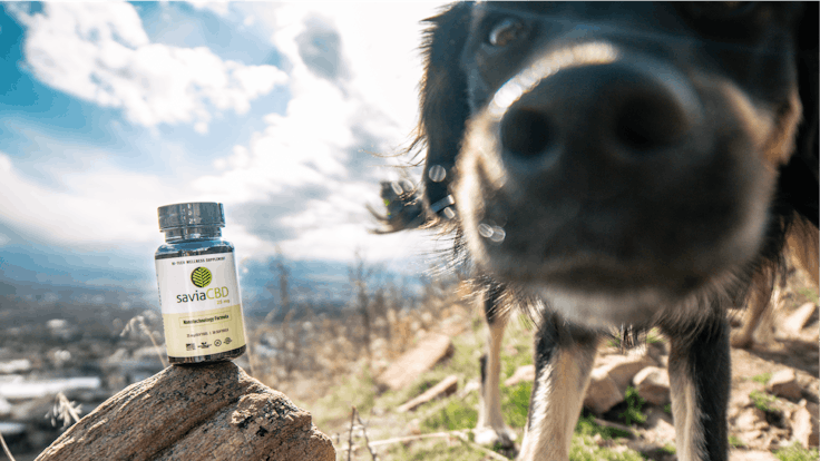 Our products are designed to assist you on a daily basis, live your best and healthiest life.