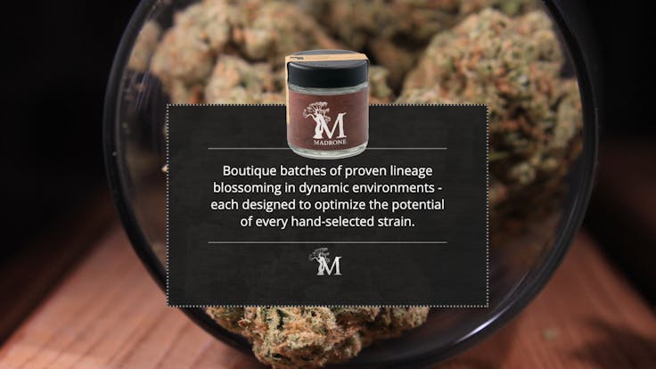 Boutique batches of proven lineage blossoming in dynamic environments.