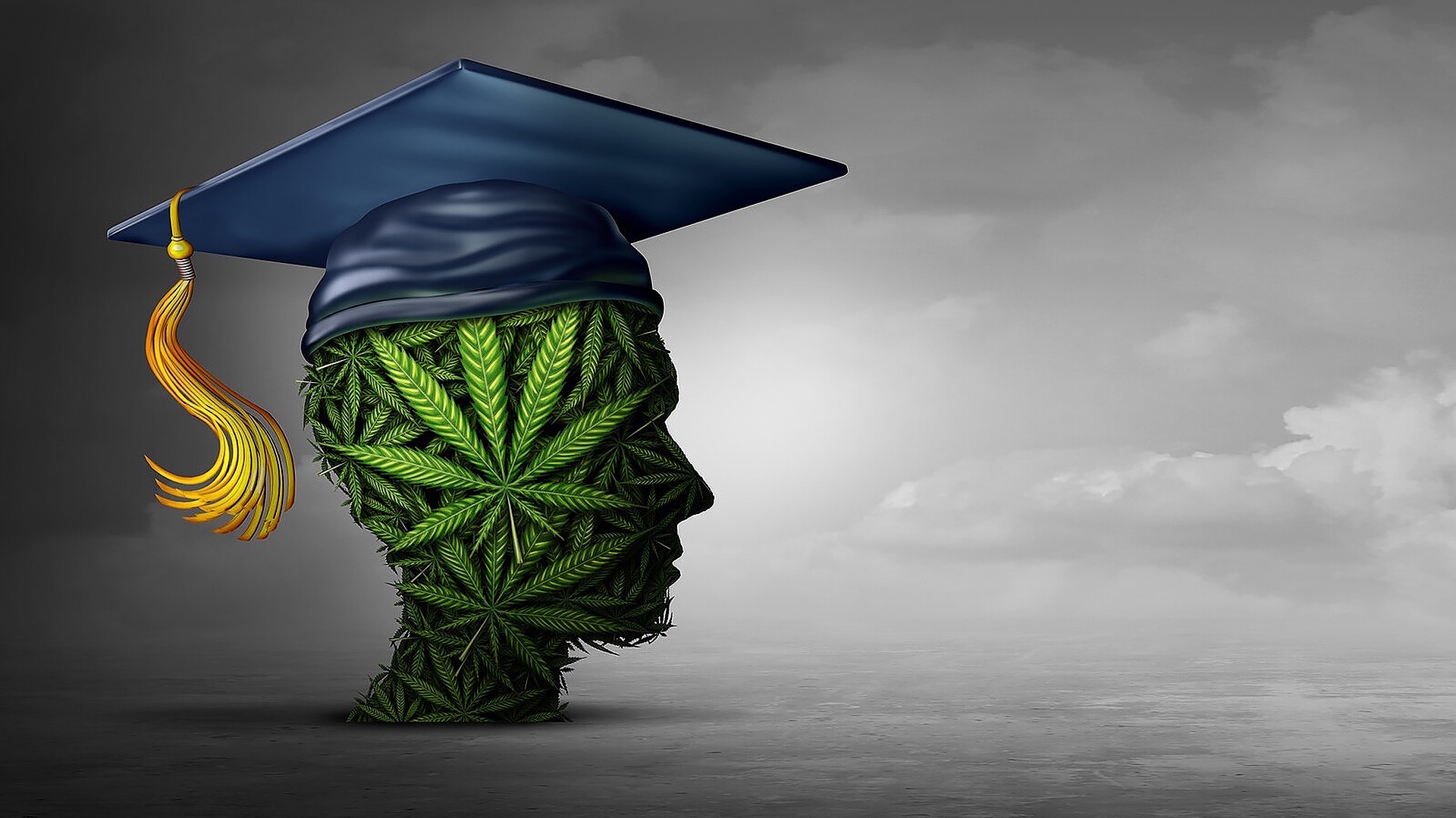 Cannabis Training University (CTU): World's Leading Online Cannabis ...