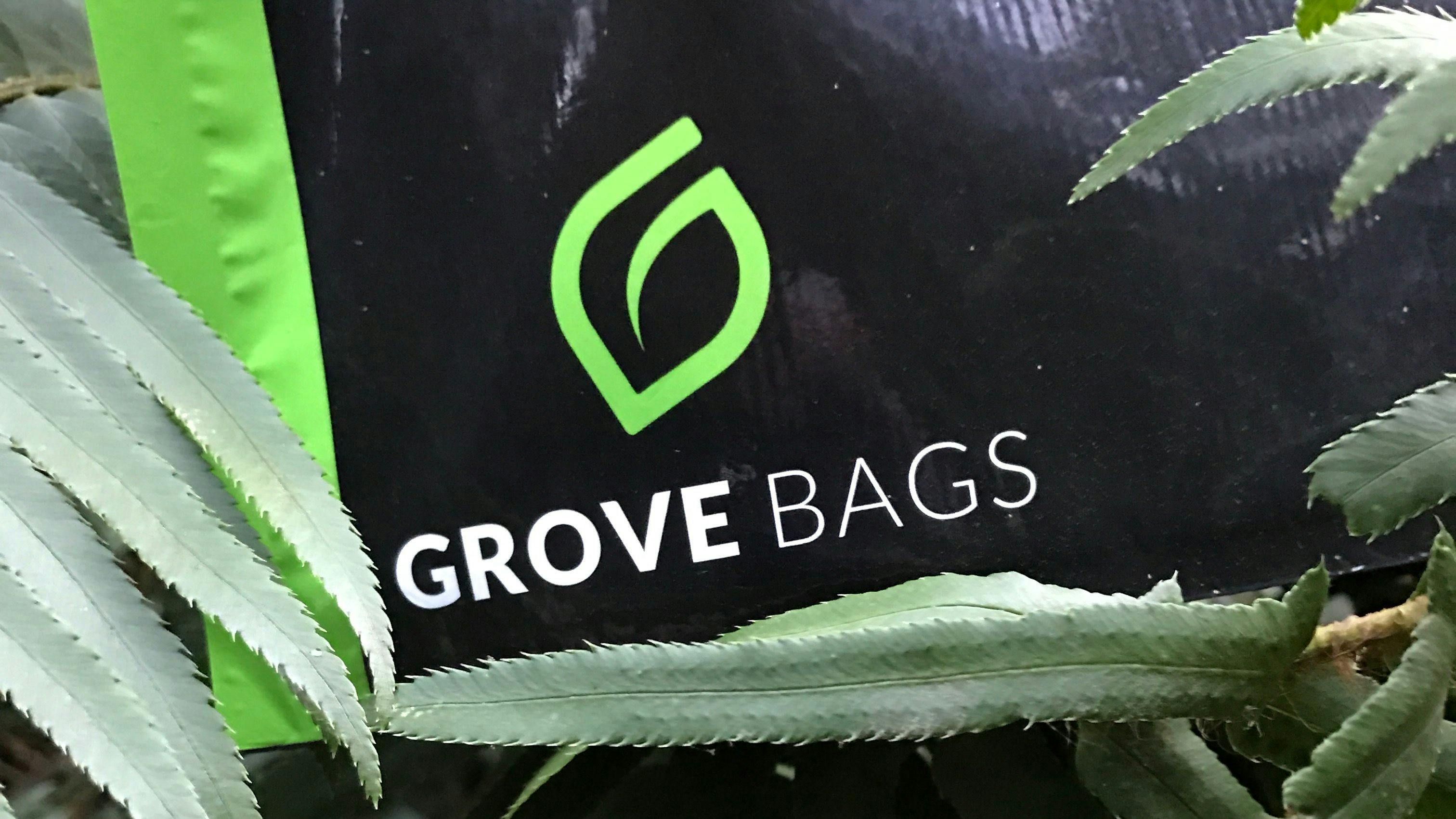Grove Bags A Breath Of Fresh Bud Leafly