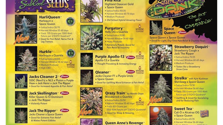 2019 Top Menu (Back)