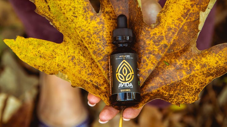 Experience the tangy and delicious taste of Alphonso Mangos with every drop.