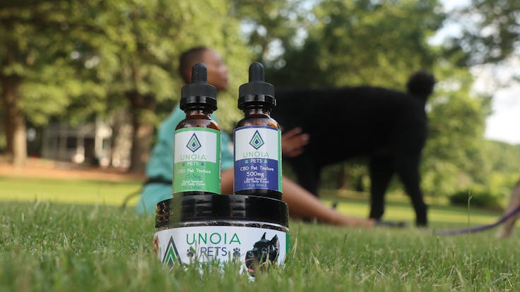 CBD for Pets | Tinctures & Pet Treats