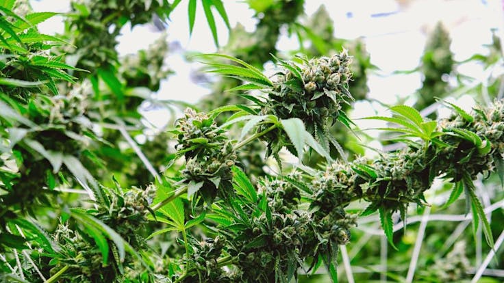 Visit verano.com for more info.