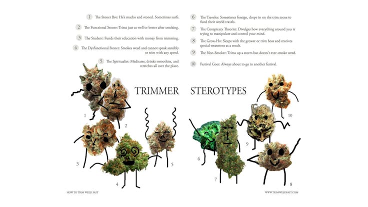 Trimmer stereotypes!