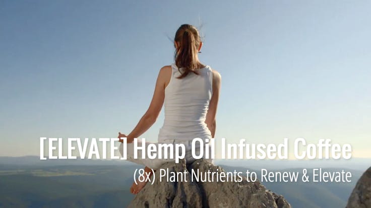 ELEVATE - 240mg CBD Infusion to Renew & Elevate