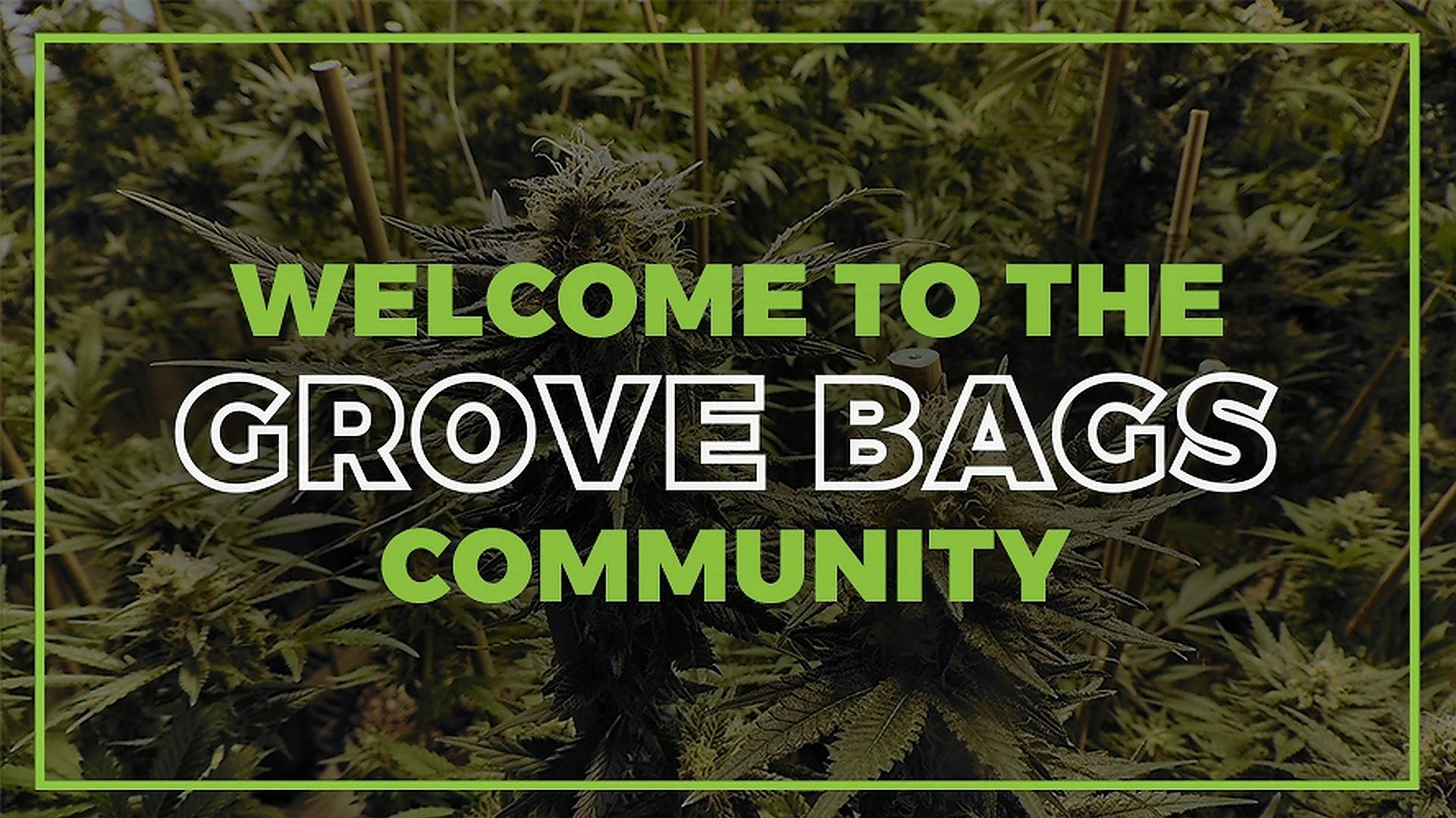 Grove Bags "TerpLoc® has you covered from Cultivation to Consumption