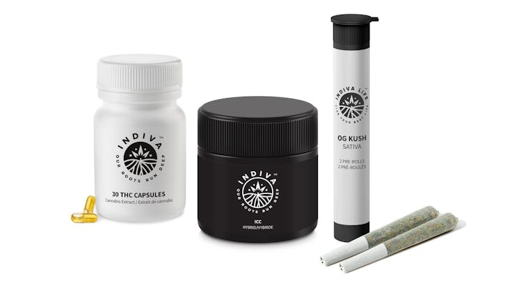 Indiva sets the standard for quality and innovation in cannabis