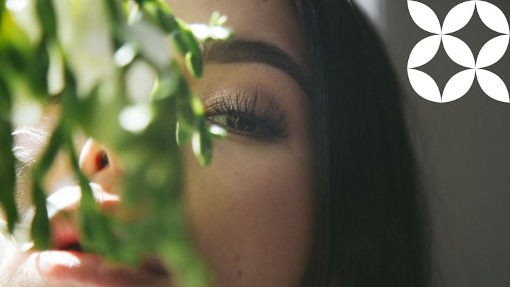 Infused with cannabinoids & terpenes from cannabis, also found in other common plants, herbs, fruits