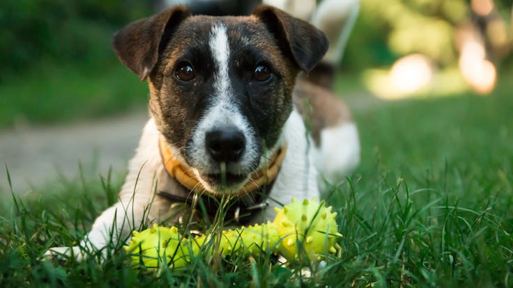 Sign Up for Our Newsletter for Money Saving Coupons