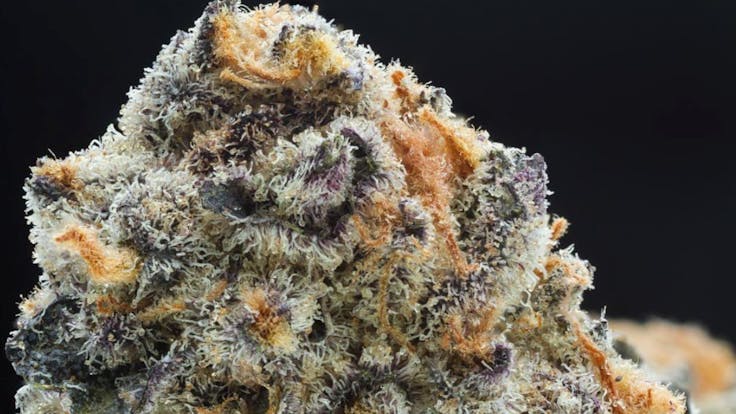 Fire Flower Makes Fire Oil