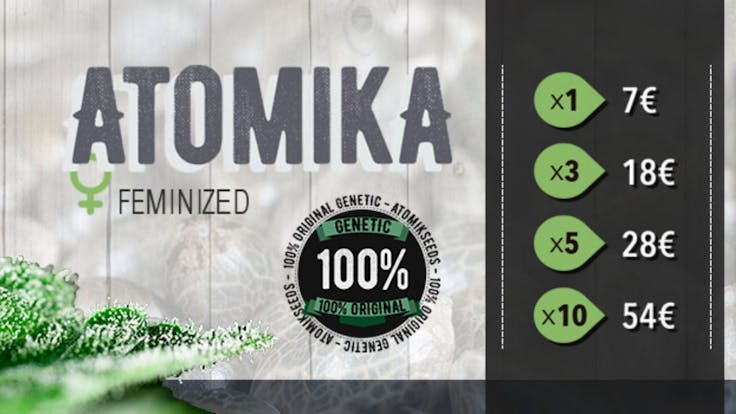 Atomika 100% original strains Atomik Seeds www.atomikseeds.com