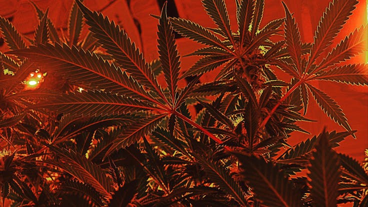 Raising the bar higher, time and time again.