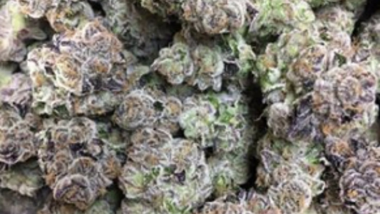 Bula Farms Flavor to you Face Leafly