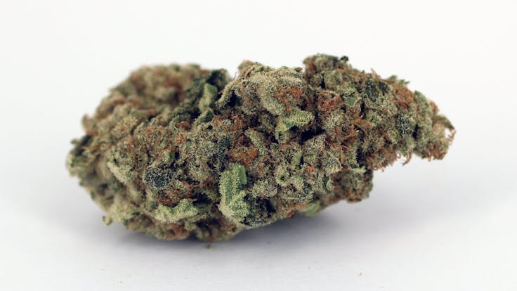 High Quality Genetics For High Quality Flower