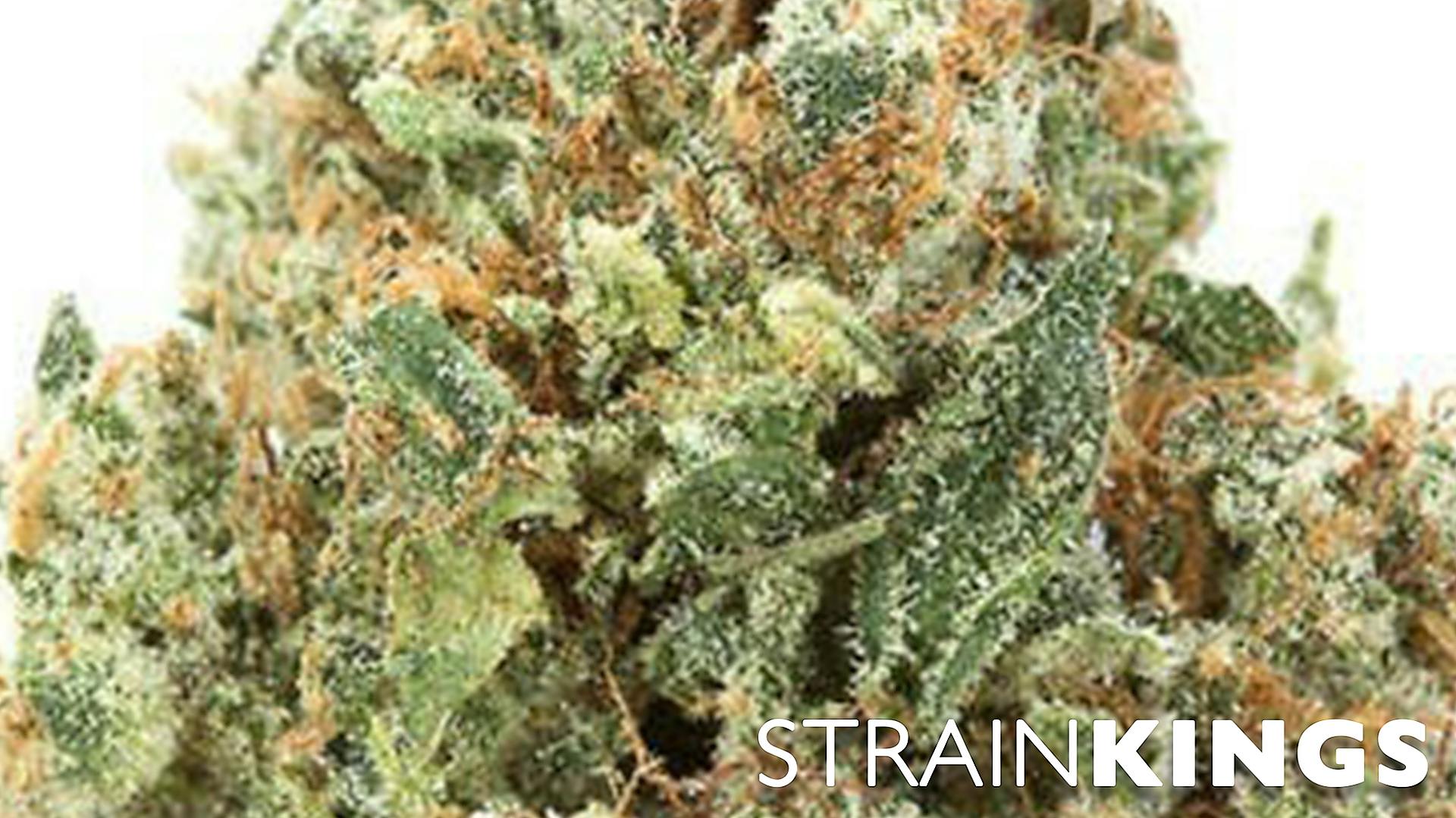 Strain Kings A Shelf Above The Rest Leafly