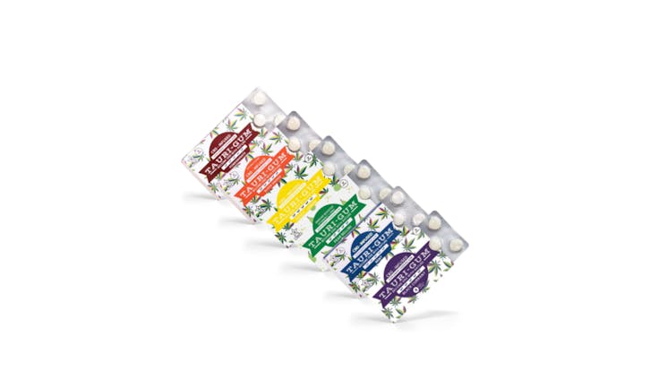 Rainbow Deluxe Sampler: Pomegranate, Blood Orange, Lemon Peach, Pear Bellini, Mint, Black Currant