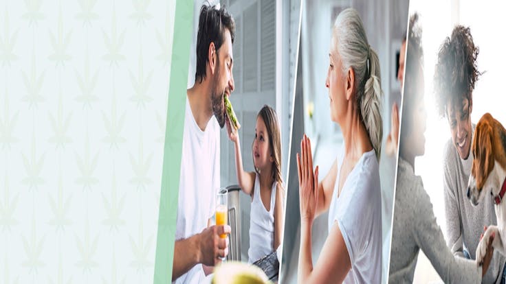 CBD HEMP THE NATURAL POWER OF WELL BEING